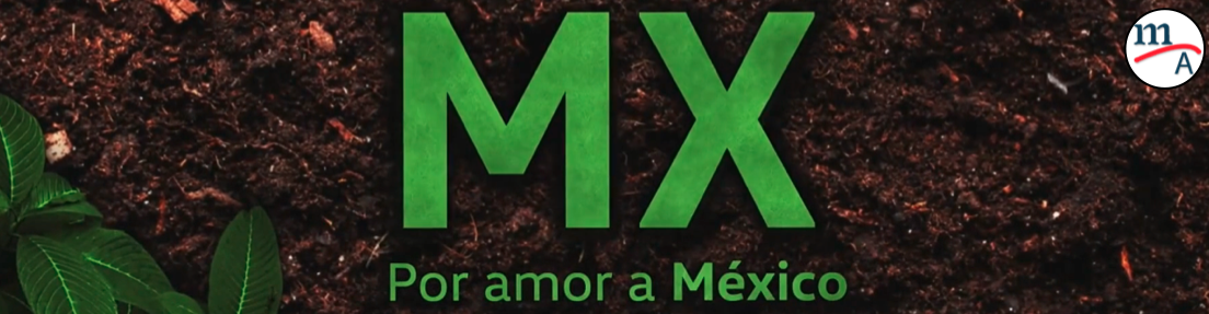 VW lanza el concurso, “Por Amor a México Chav@s, 2020”