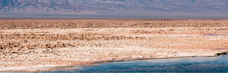 BMW se suma al proyecto sustentable de minería de litio en Chile