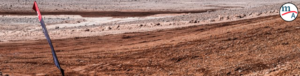 Extreme E Atacama Chile