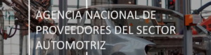 ANAPSA
